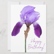 Happy birthday elegante paarse iris bloemenboho