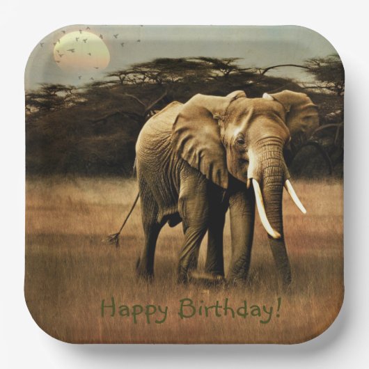 Happy Birthday Elephant Papieren Bordje (Voorkant)
