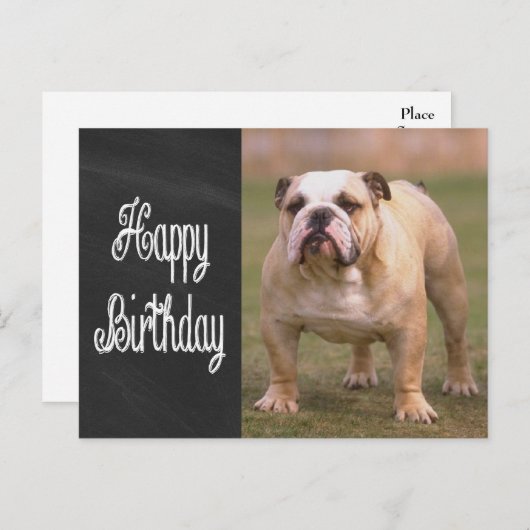 Happy Birthday Engelse Bulldog Chalkboard Briefkaa Briefkaart (Voorkant / Achterkant)