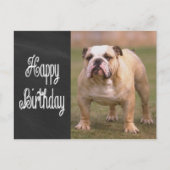 Happy Birthday Engelse Bulldog Chalkboard Briefkaa Briefkaart (Voorkant)
