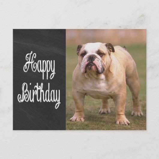 Happy Birthday Engelse Bulldog Chalkboard Briefkaa Briefkaart (Voorkant)