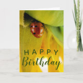 "Happy Birthday" enthousiaste Ladybug-Kaart Kaart (Voorkant)