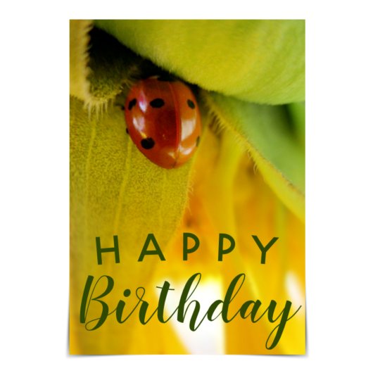"Happy Birthday" enthousiaste Ladybug-Kaart Kaart