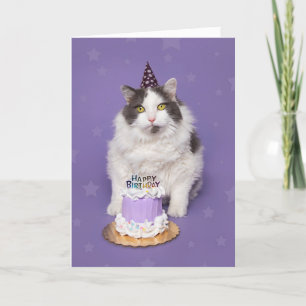 Happy Birthday Fat Cat met Cake Humor Feestdagen Kaart
