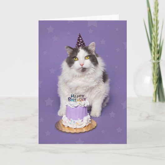 Happy Birthday Fat Cat met taart Humor Feestdagen Kaart (Voorkant)