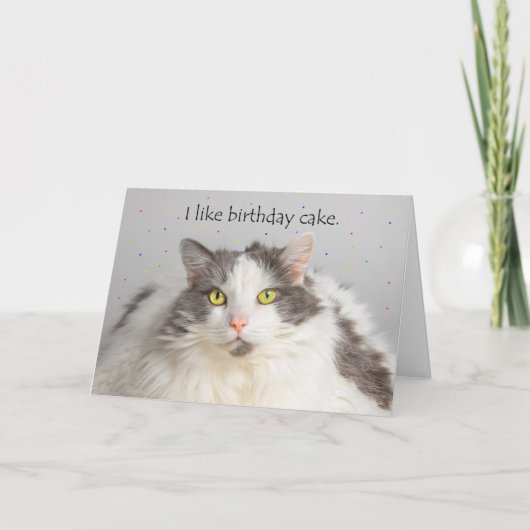 Happy Birthday Fat Cat NetBirthday Cake Feestdagen Kaart (Voorkant)