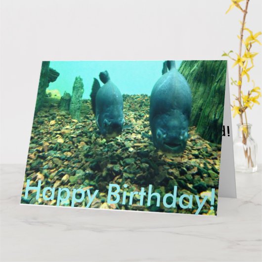 Happy Birthday Fish Kaart (Gele Bloem)