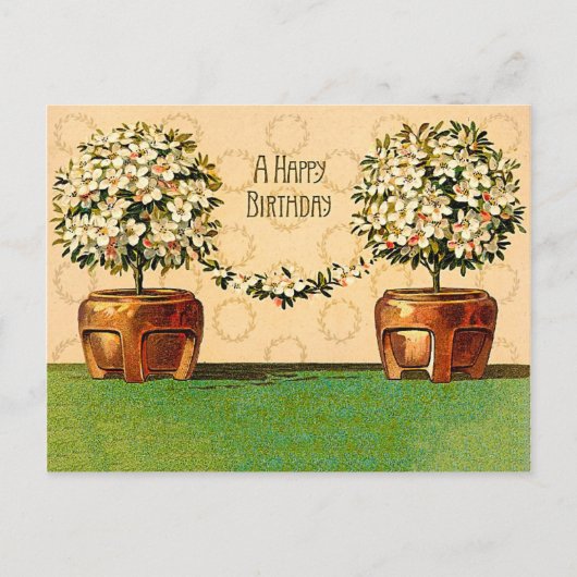 Happy Birthday  Flowering Pots Briefkaart (Voorkant)