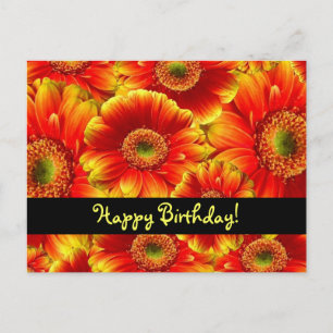 Happy Birthday Flowers Briefkaart