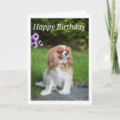 Happy Birthday Flowers Cavalier King Spaniel Kaart (Voorkant)