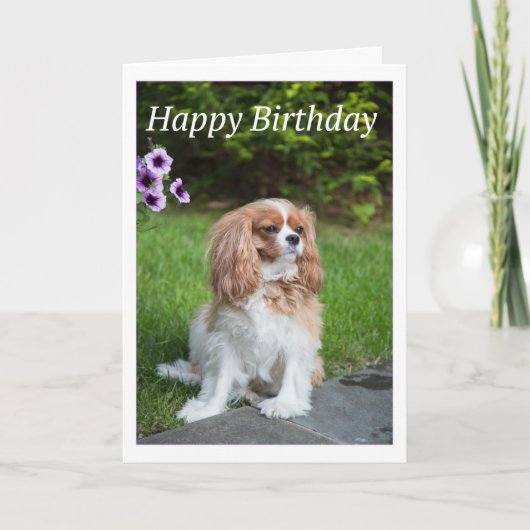 Happy Birthday Flowers Cavalier King Spaniel Kaart (Voorkant)
