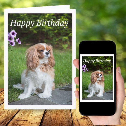 Happy Birthday Flowers Cavalier King Spaniel Kaart