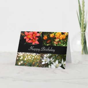 Happy Birthday Flowers Kaart