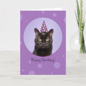 Happy Birthday For Anyone Funny Cat in Party Hat Feestdagen Kaart (Voorkant)
