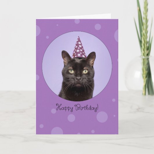 Happy Birthday For Anyone Funny Cat in Party Hat Feestdagen Kaart (Voorkant)