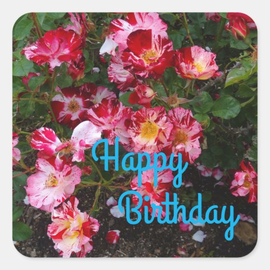 Happy Birthday Fourth of Juli Roos #1 Stickers (Voorkant)