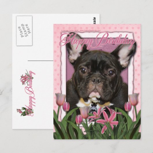 Happy Birthday - Franse Bulldog - Blauwgroen Briefkaart (Voorkant / Achterkant)