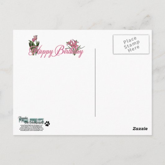 Happy Birthday - Franse Bulldog - Blauwgroen Briefkaart (Achterkant)