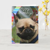 Happy Birthday Franse Bulldog wenskaart Kaart (Gele Bloem)
