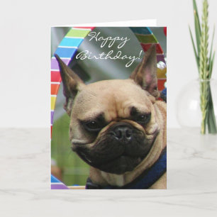 Happy Birthday Franse Bulldog wenskaart Kaart