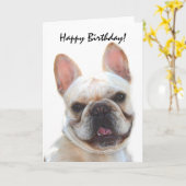 Happy Birthday Franse Bulldog wenskaart Kaart (Gele Bloem)