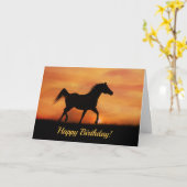 Happy Birthday Free Spirited Arabian Horse Kaart (Gele Bloem)