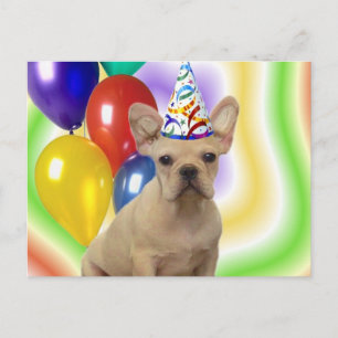 Happy Birthday French Bulldog briefkaart
