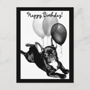 Happy Birthday French Bulldog briefkaart