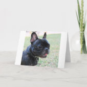 Happy Birthday French Bulldog Card Kaart (Achterkant)