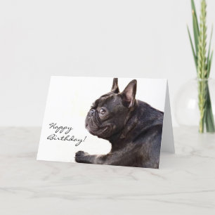 Happy Birthday French Bulldog card Kaart