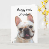 Happy Birthday French Bulldog Greeting Card Kaart (Gele Bloem)