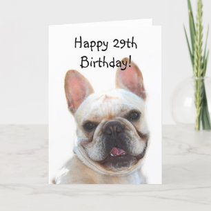 Happy Birthday French Bulldog Greeting Card Kaart
