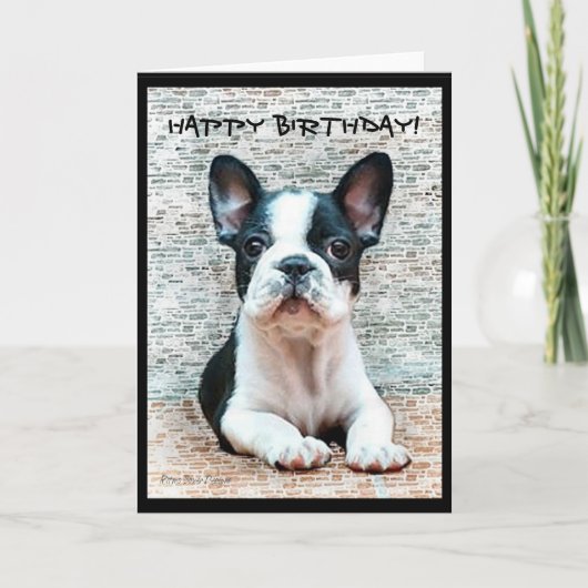 Happy Birthday French Bulldog greeting card Kaart (Voorkant)