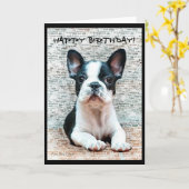 Happy Birthday French Bulldog greeting card Kaart (Gele Bloem)