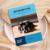 Happy Birthday French Bulldog Kaart