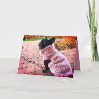 Happy Birthday French Bulldog Kaart