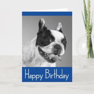 Happy Birthday French Bulldog Puppy Card - Verse Kaart