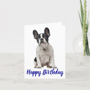 Happy Birthday French Bulldog Puppy Dog Frenchie Kaart