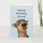 Happy Birthday Friend Funny Dog Humor Card Kaart<br><div class="desc">Gelukkig op de verjaardag van de geboorte hebben we veel meegemaakt en het meeste was jouw schuld. Een schattige getraumatiseerde hond</div>