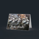 Happy Birthday from all us Animals Kaart<br><div class="desc">Happy Birthday from all us animals.   Raccoons from the whole Group,  Family or Friends Cute Animal</div>