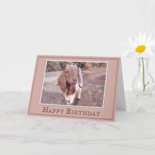 Happy Birthday - From your Favorite Kid Kaart (Kleine Plant)