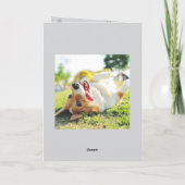 Happy Birthday from Your Furry Friend 2 Photos   Kaart (Achterkant)