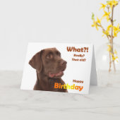 Happy Birthday fun card with Labrador dog Kaart (Gele Bloem)