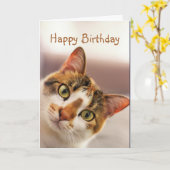 Happy Birthday Fun Cat Kitten Pop in Kaart (Gele Bloem)