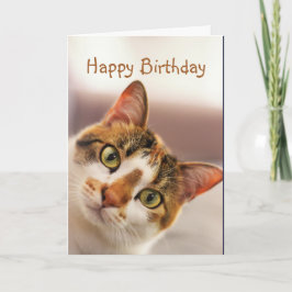 Happy Birthday Fun Cat Kitten Pop in Kaart
