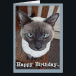 Happy Birthday Funny Big Head Siamese Cat<br><div class="desc">Een grote Siamese kat die in een stoel zit,  zit op dit grappige Happy Birthday wenskaart. Kunst,  afbeelding en vers © Shoaff Ballanger Studios,  2023.</div>