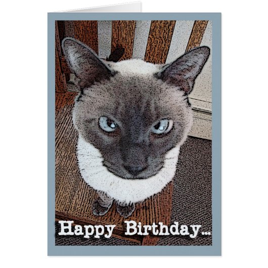 Happy Birthday Funny Big Head Siamese Cat (Voorkant)