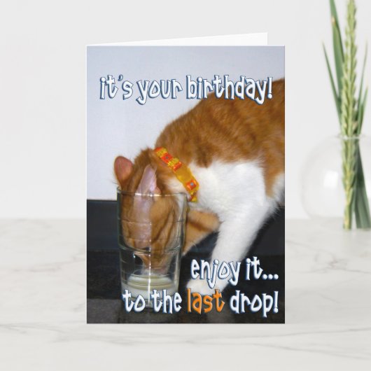 Happy Birthday - Funny Cat Drink van Glass Kaart (Voorkant)