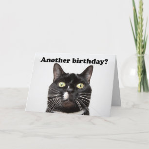 Happy Birthday Funny Cat in Your Face Humor Feestdagen Kaart