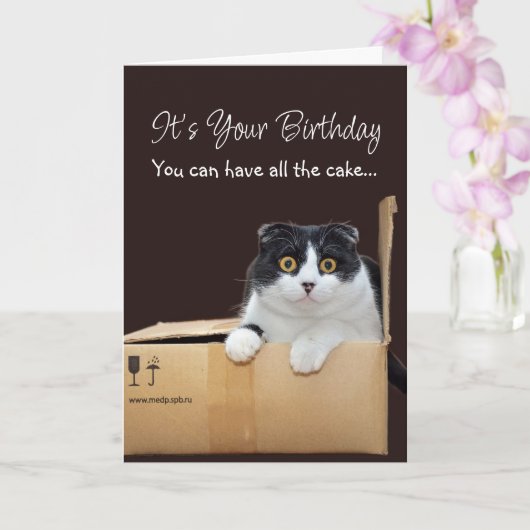 Happy Birthday Funny Cat  Kaart (Orchidee)